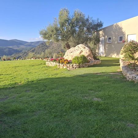 Hacienda Molino Nuevo Villa Algodonales Kültér fotó